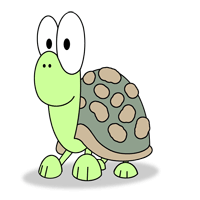 Wonder Turtle